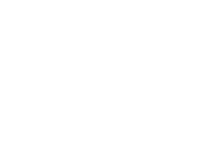 RZB Lighting